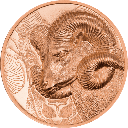2022 50 GRAM COPPER MAGNIFICENT ARGALI - Image 3
