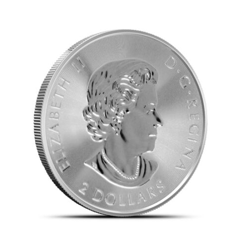 .5 OZ CANADIAN POLAR BEAR - Image 3