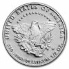 1/2 OZ AMERICAN PLATINUM EAGLE PROOF (CAPSULE ONLY) - Image 3