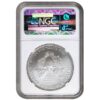 1989 1 OZ AMERICAN SILVER EAGLE NGC PROOF 69 - Image 2