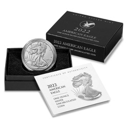 1 OZ AMERICAN SILVER EAGLE BURNISHED WITH OGP